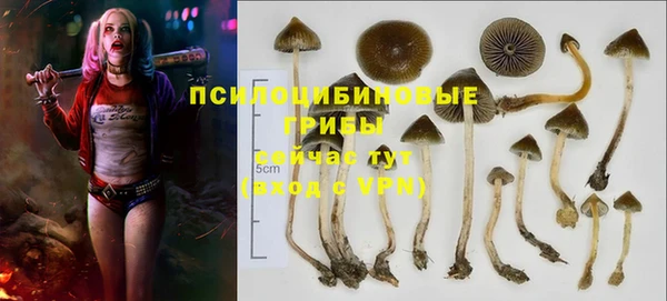 спайс Гусев