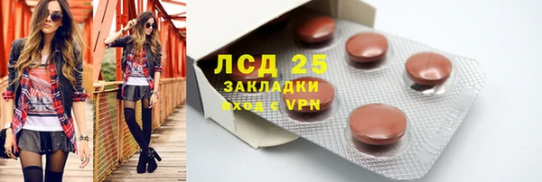 спайс Гусев