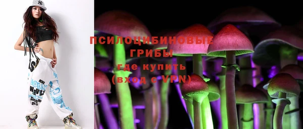 спайс Гусев
