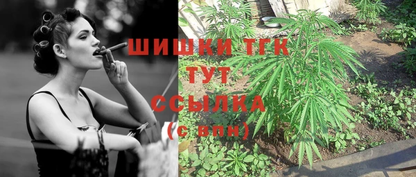 спайс Гусев