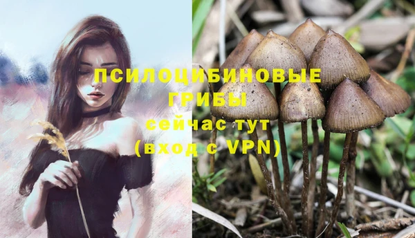 хмурый Гусиноозёрск