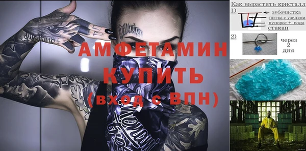 спайс Гусев