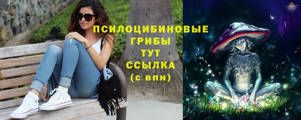 хмурый Гусиноозёрск