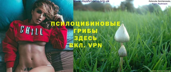 гашишное масло Гусь-Хрустальный