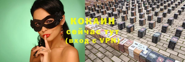 спайс Гусев
