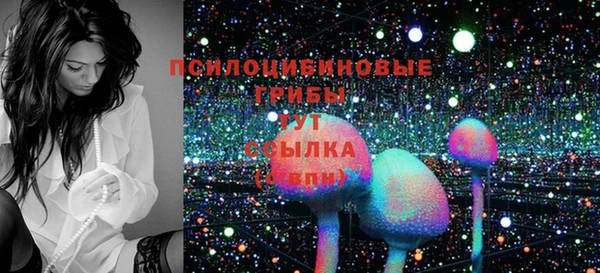 хмурый Гусиноозёрск